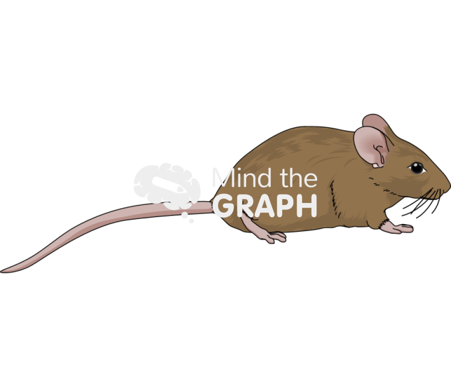 129 2 Icons, Symbols, Pictures, and Images