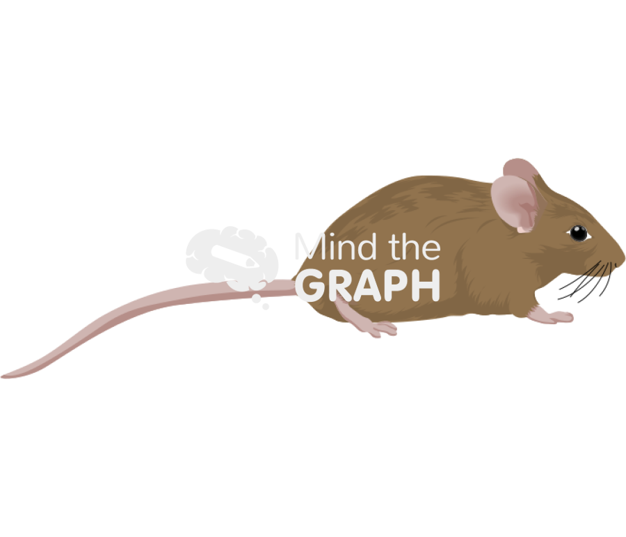 129 2 Icons, Symbols, Pictures, and Images