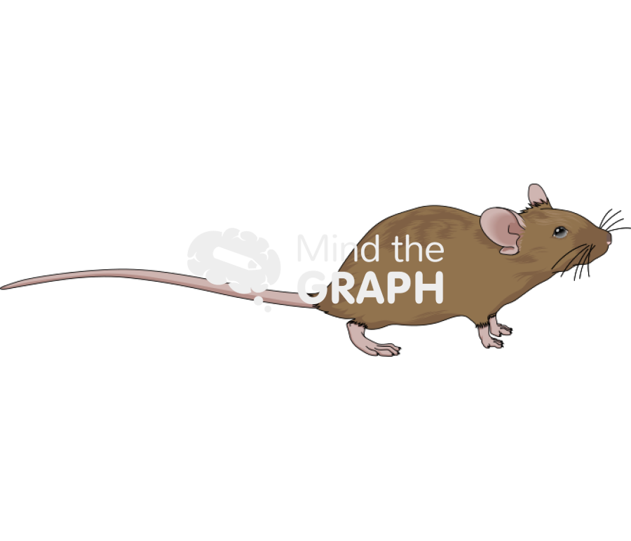 129 5 Icons, Symbols, Pictures, and Images