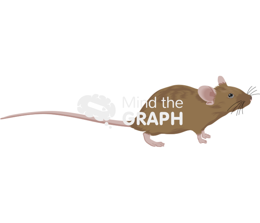 129 5 Icons, Symbols, Pictures, and Images