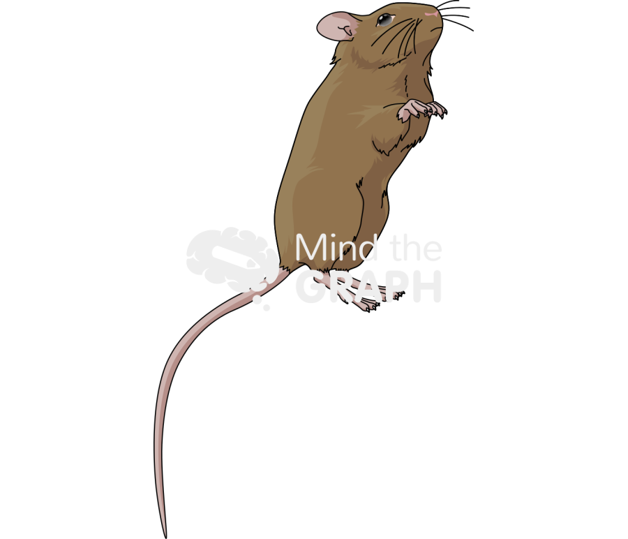 129 6 Icons, Symbols, Pictures, and Images