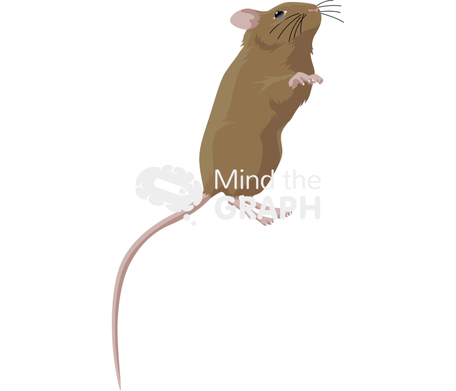 129 6 Icons, Symbols, Pictures, and Images