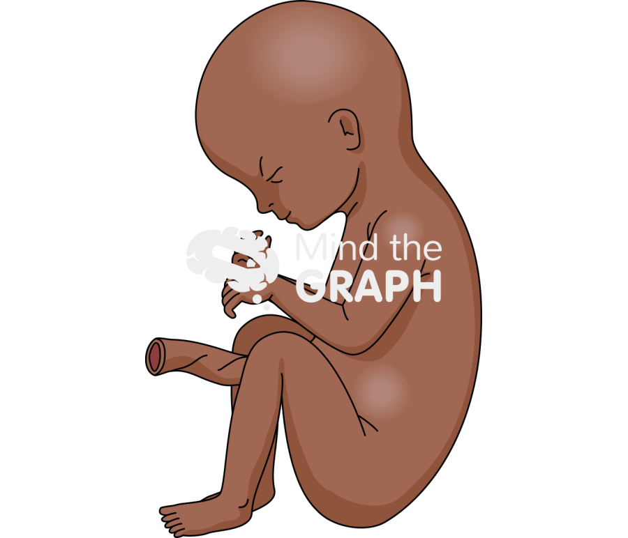 32 weeks afro human fetus Icons, Symbols, Pictures, and Images