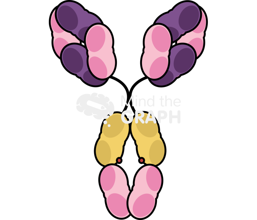 IgD Icons, Symbols, Pictures, and Images