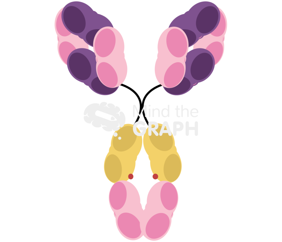 IgD Icons, Symbols, Pictures, and Images