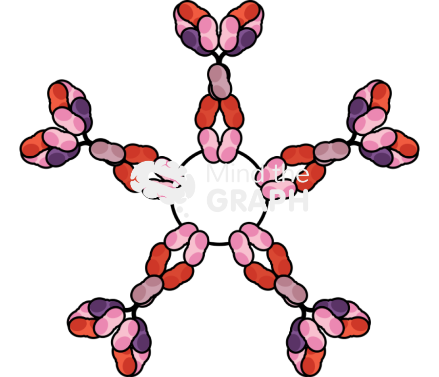 IgM 2 Icons, Symbols, Pictures, and Images