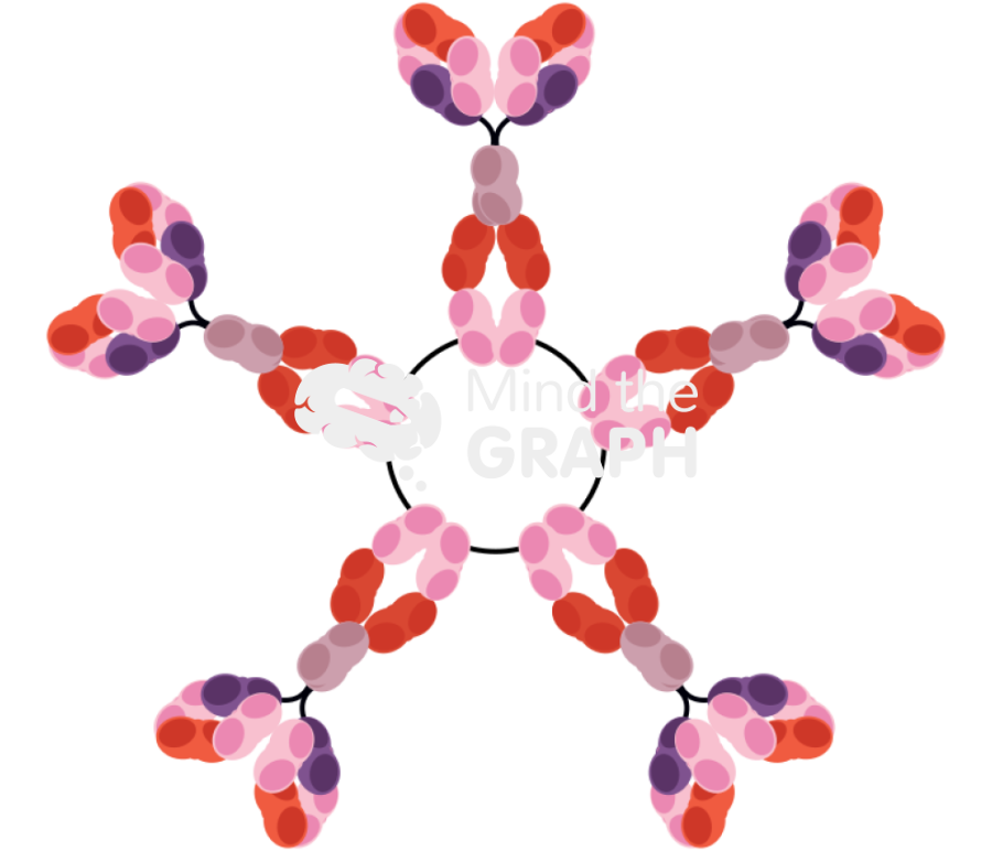 IgM 2 Icons, Symbols, Pictures, and Images