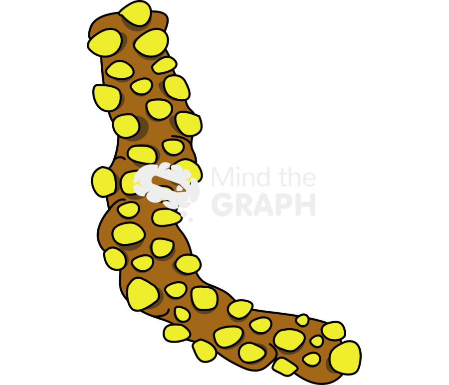 Abeta oligomers Icons, Symbols, Pictures, and Images