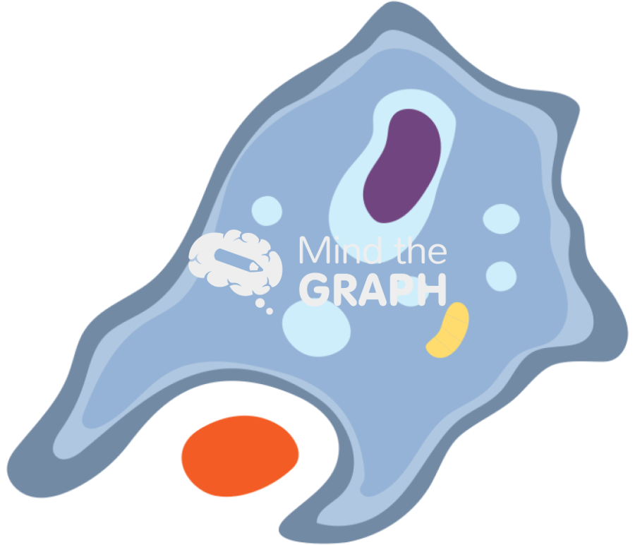 Acanthamoeba castellanii phagocyte 1 Icons, Symbols, Pictures, and Images