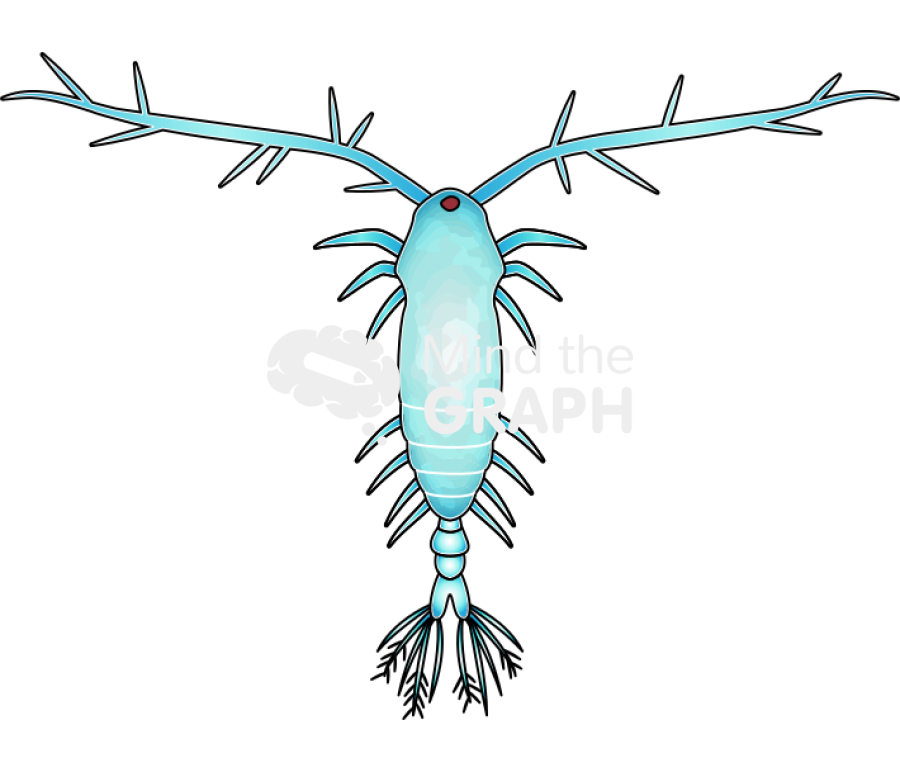 Acartia 2 Icons, Symbols, Pictures, and Images