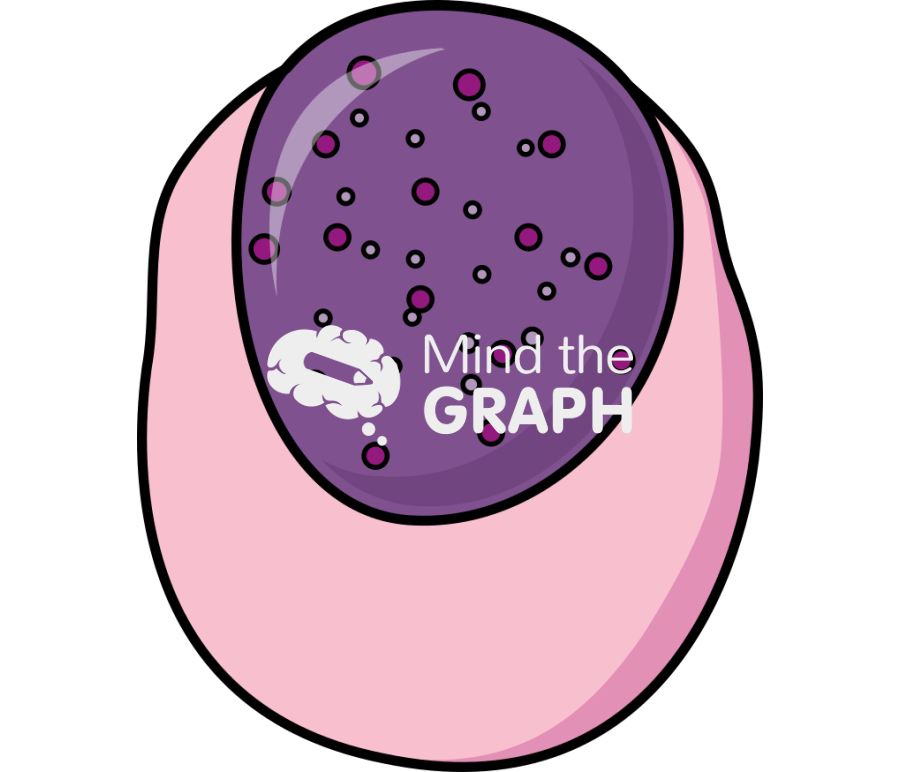 Acidophil erythroblast 2 Icons, Symbols, Pictures, and Images