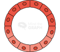 Acinar to ductal metaplasia acm - Edit and Customize Icons of Acinar to ductal metaplasia acm Acinar to ductal metaplasia acm Icons, Symbols, Pictures, and Images