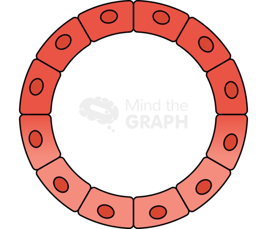 Acinar to ductal metaplasia acm Icons, Symbols, Pictures, and Images