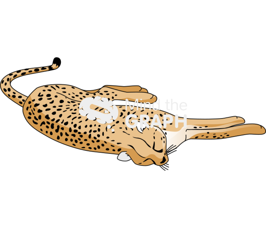 Acinonyx jubatus dead Icons, Symbols, Pictures, and Images