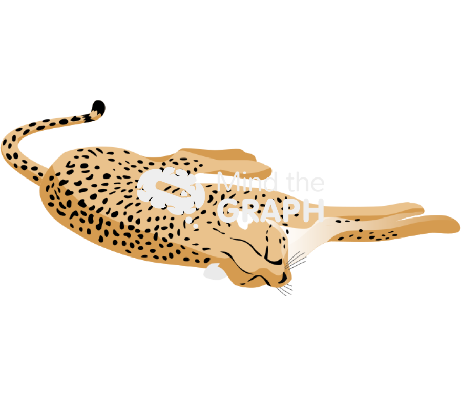 Acinonyx jubatus dead Icons, Symbols, Pictures, and Images