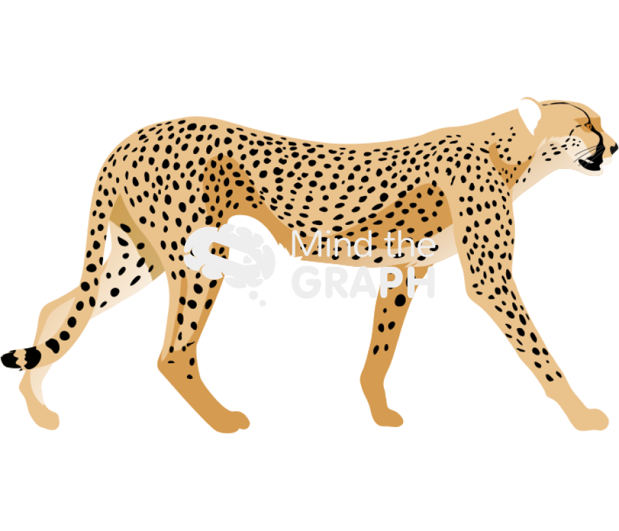 Acinonyx jubatus lateral Icons, Symbols, Pictures, and Images
