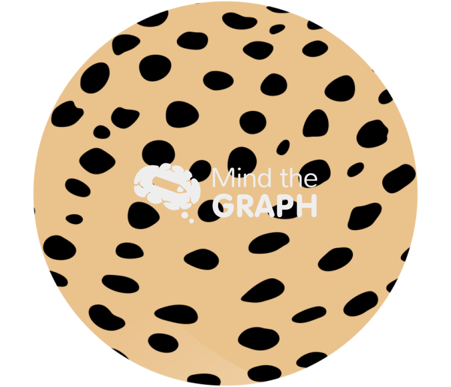 Acinonyx jubatus skin Icons, Symbols, Pictures, and Images