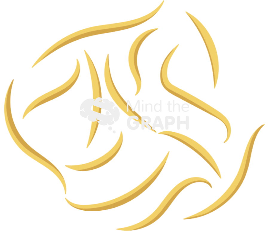 Actinomycetes Icons, Symbols, Pictures, and Images