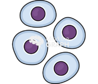 Activated neural stem cell Icons, Symbols, Pictures, and Images