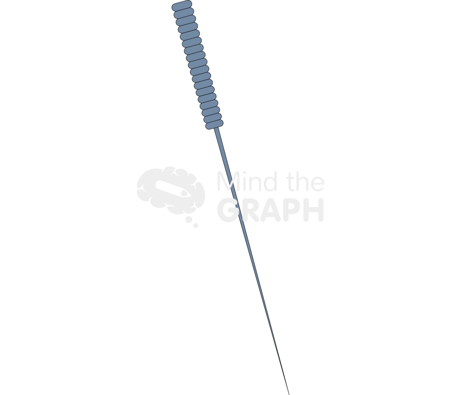 Acupunture Icons, Symbols, Pictures, and Images