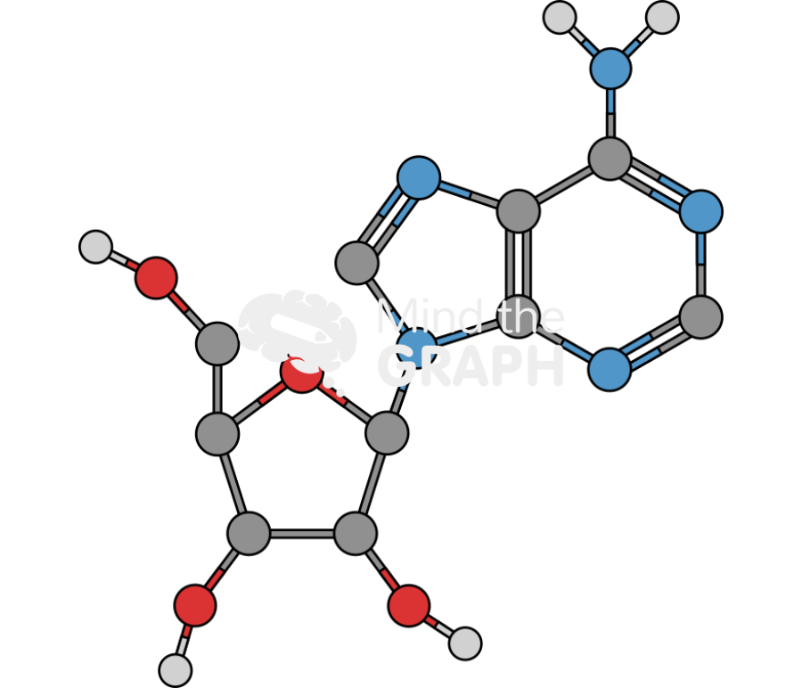 Adenosine molecule Icons, Symbols, Pictures, and Images