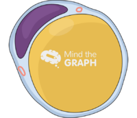 Adipocyte - Edit and Customize Icons of Adipocyte Adipocyte Icons, Symbols, Pictures, and Images