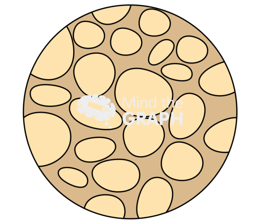 Adipogenesis fat skin Icons, Symbols, Pictures, and Images