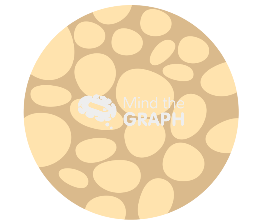 Adipogenesis fat skin Icons, Symbols, Pictures, and Images