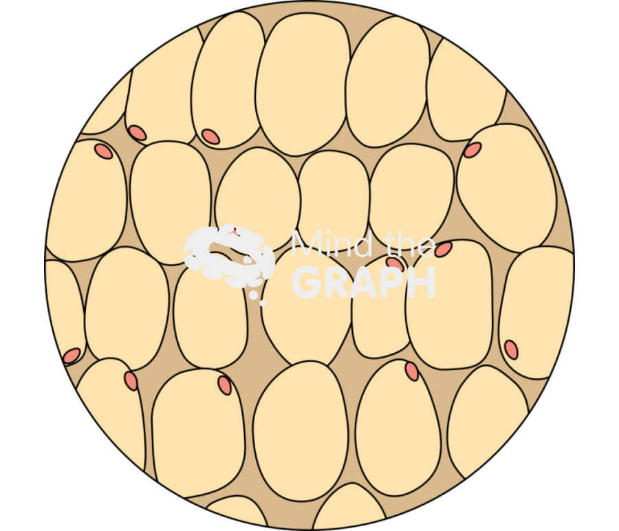 Adipose Icons, Symbols, Pictures, and Images