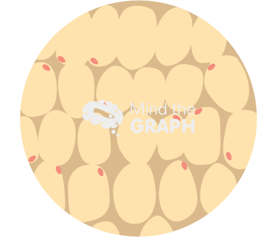 Adipose Icons, Symbols, Pictures, and Images