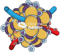 Adipose tissue 2 - Edit and Customize Icons of Adipose tissue 2 Adipose tissue 2 Icons, Symbols, Pictures, and Images