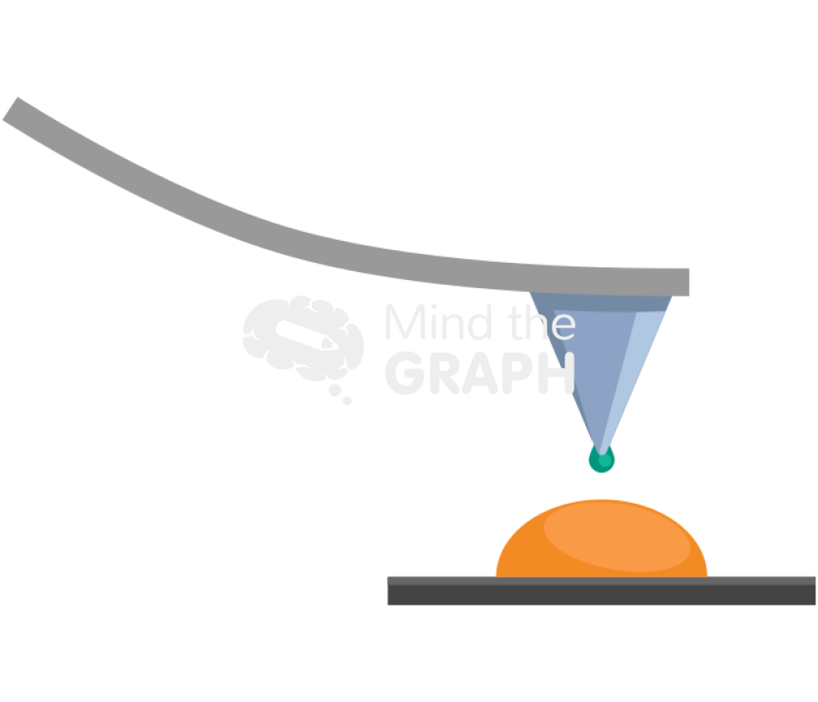 Afm atomic force microscopy bacterial adhesion Icons, Symbols, Pictures, and Images