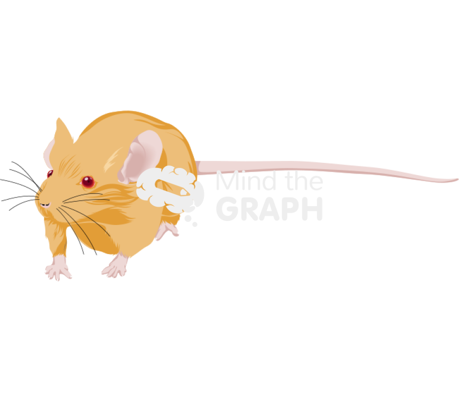 Agouti 4 Icons, Symbols, Pictures, and Images