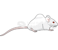 Air injection mice swiss - Edit and Customize Icons of Air injection mice swiss Air injection mice swiss Icons, Symbols, Pictures, and Images