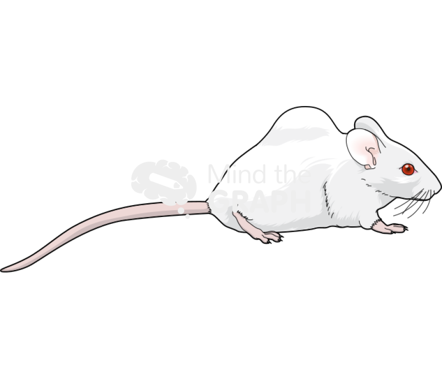 Air injection mice swiss Icons, Symbols, Pictures, and Images