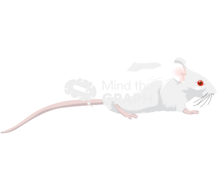 Air injection mice swiss Icons, Symbols, Pictures, and Images