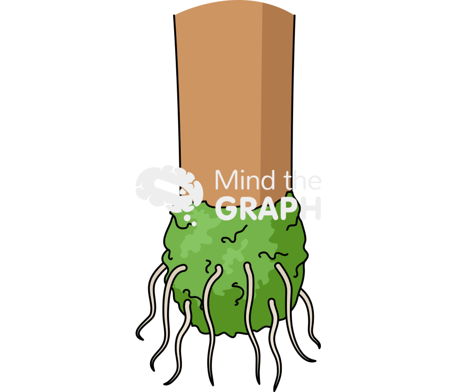 Air layering stem 5 Icons, Symbols, Pictures, and Images