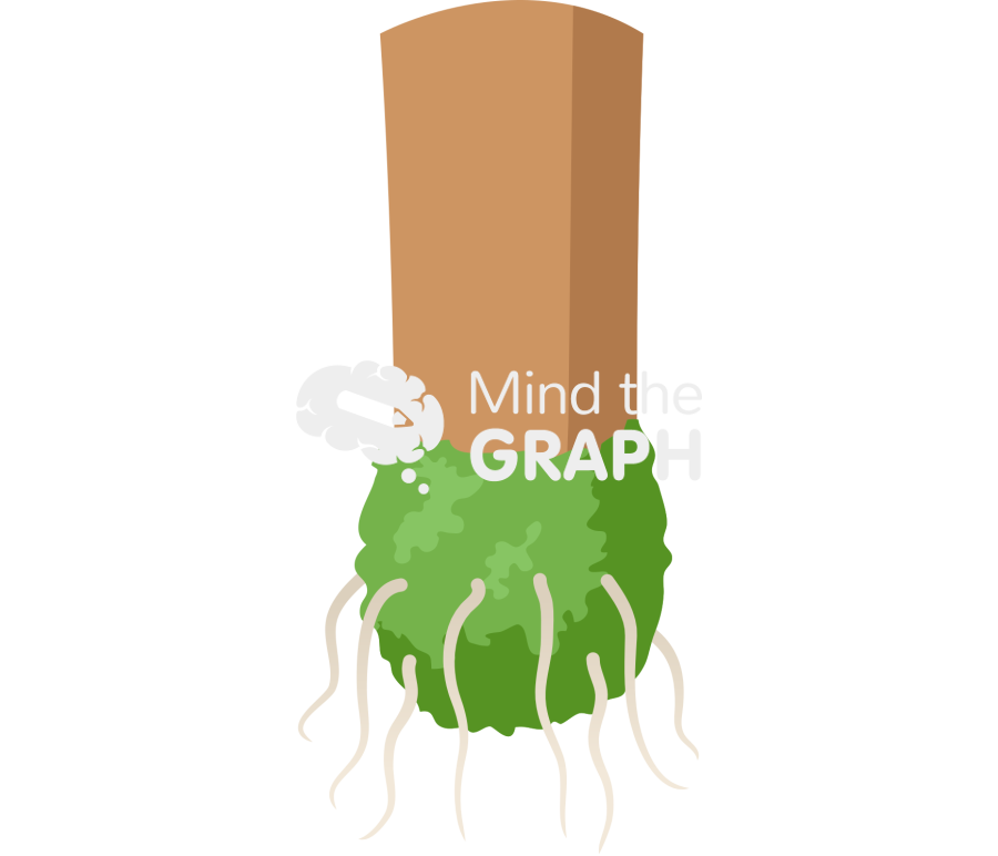 Air layering stem 5 Icons, Symbols, Pictures, and Images