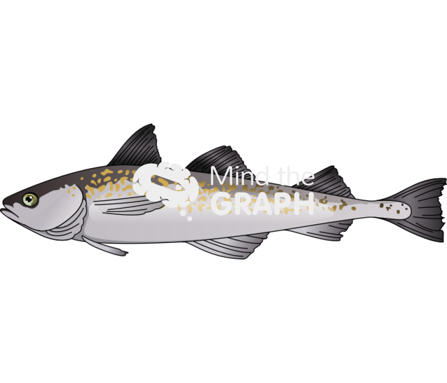 Alaska pollock fish Icons, Symbols, Pictures, and Images