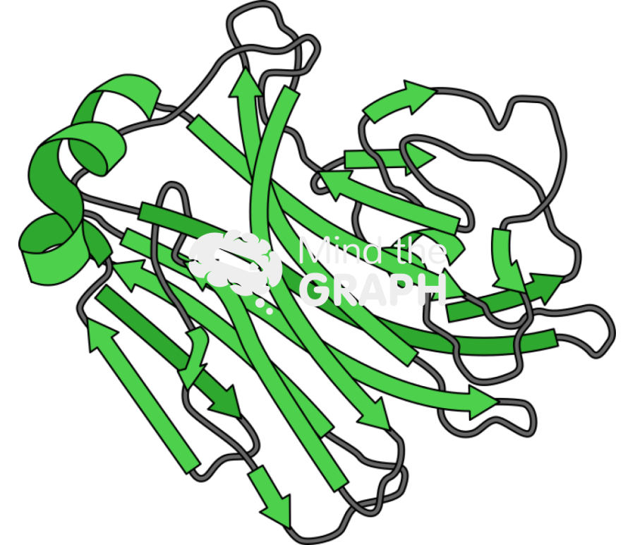 Alginate lyase a1 ii structure Icons, Symbols, Pictures, and Images