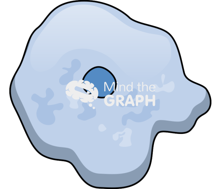 Allovahlkampfia spelaea trophozoite 1 Icons, Symbols, Pictures, and Images