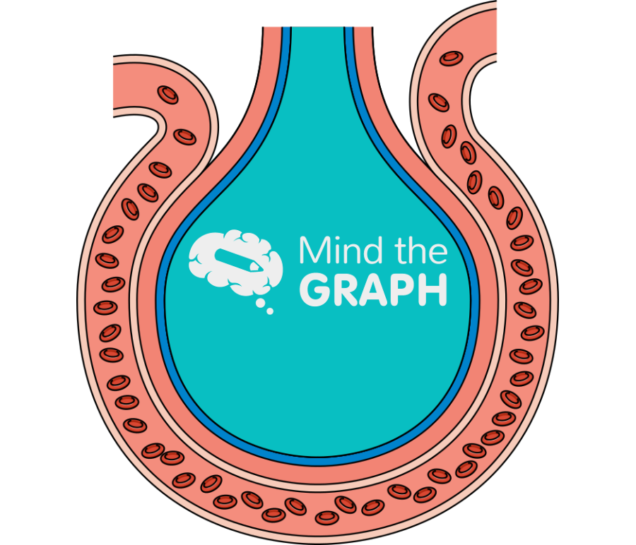Alveolus gas exchange blood cells Icons, Symbols, Pictures, and Images