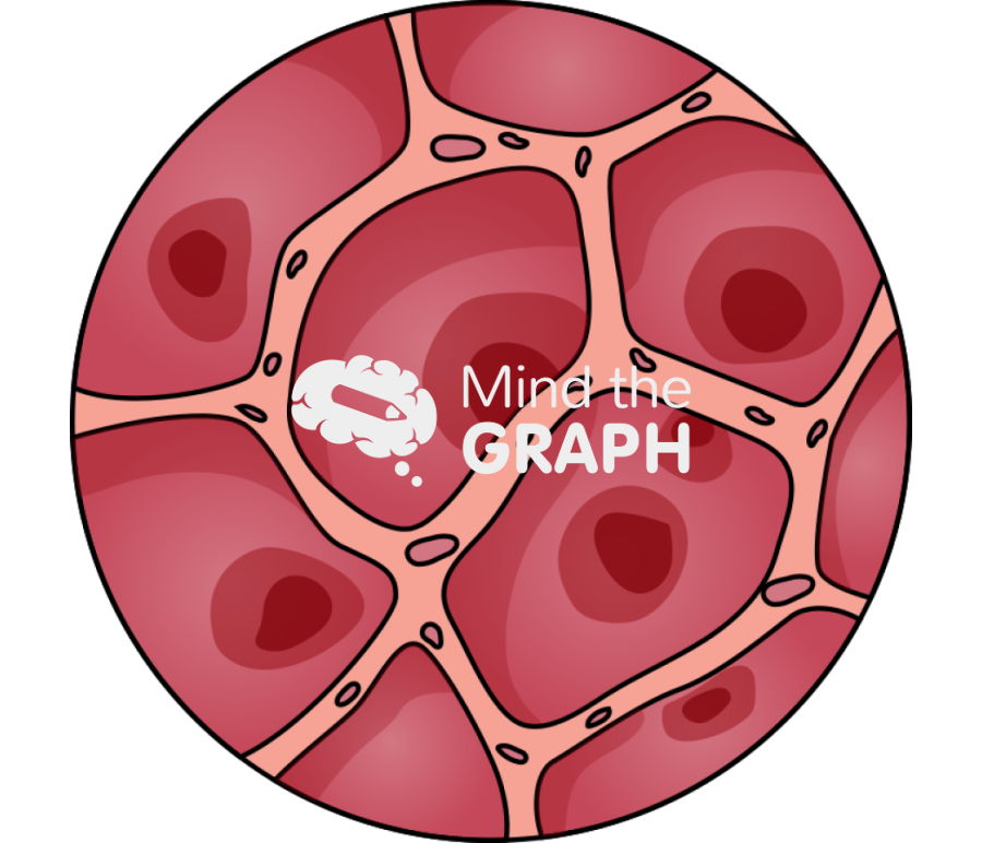 Alveolus healthy air sacs zoom cut Icons, Symbols, Pictures, and Images