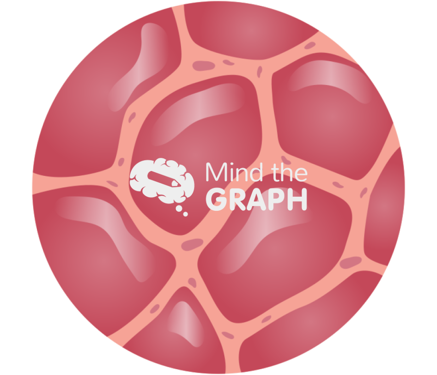 Alveolus normal air sacs zoom Icons, Symbols, Pictures, and Images