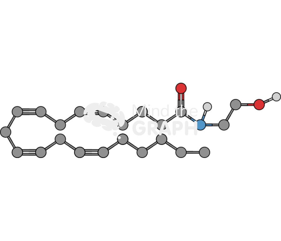 Anandamide molecule Icons, Symbols, Pictures, and Images