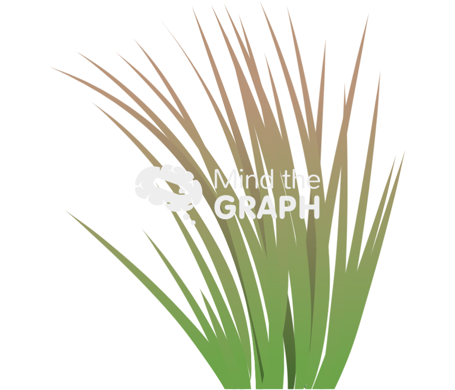 Andropogon virginicus plant Icons, Symbols, Pictures, and Images