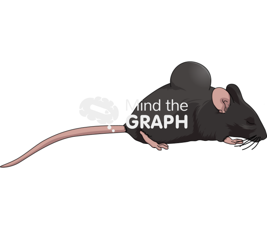 Anesthetized c57bl6 rat back tissue expander Icons, Symbols, Pictures, and Images