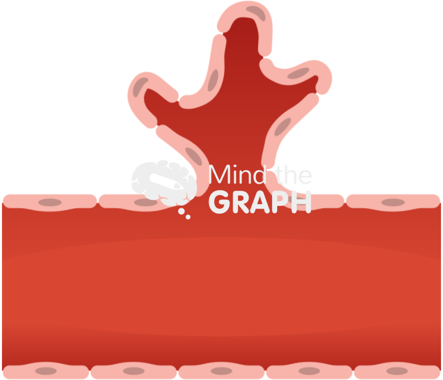 Angiogenesis morphogenesis longitudinal cut Icons, Symbols, Pictures, and Images