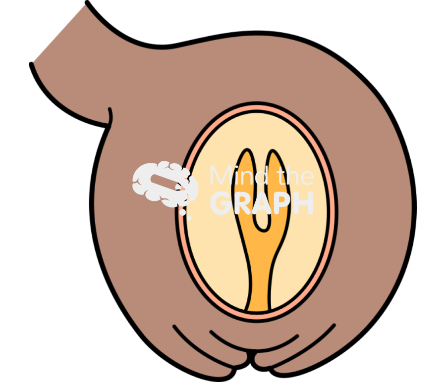 Angiosperm fecundation 4 Icons, Symbols, Pictures, and Images