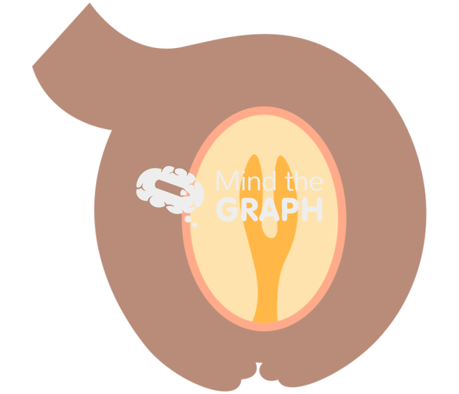 Angiosperm fecundation 4 Icons, Symbols, Pictures, and Images